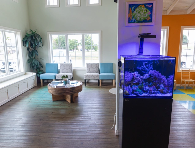 Modern dental waiting room with aquarium, seating area, and natural light from windows.